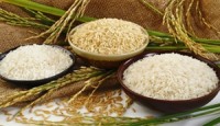 Pirinç Tüketmenin Vücuda Yararları